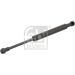 FEBI BILSTEIN 27902 Gasfeder, Koffer-/Laderaum