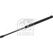 FEBI BILSTEIN 38520 Gasfeder, Koffer-/Laderaum
