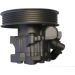 Spidan Hydraulikpumpe, Lenkung 54388