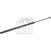 FEBI BILSTEIN 180361 Gasfeder, Koffer-/Laderaum