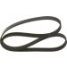 BOSCH Keilrippenriemen 1 987 946 063