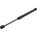 FEBI BILSTEIN 31670 Gasfeder, Koffer-/Laderaum