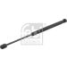 FEBI BILSTEIN 27895 Gasfeder, Koffer-/Laderaum