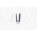 Monroe Staubschutzsatz, Stoßdämpfer PROTECTION KIT PK048