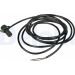 Delphi Sensor, Raddrehzahl SS20283