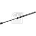 FEBI BILSTEIN 47099 Gasfeder, Koffer-/Laderaum