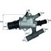 Mahle Thermostat, Kühlmittel BEHR TI 168 88