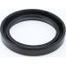 Dichtring 12000755B