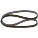 BOSCH Keilrippenriemen 1 987 947 924 BOSCH Keilrippenriemen 1 987 947 924