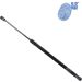 Blue Print Gasfeder, Koffer-/Laderaum ADM55808