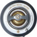NRF | Thermostat, Kühlmittel | 725132 NRF | Thermostat, Kühlmittel | 725132