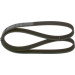 1 987 948 304 Keilrippenriemen