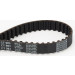 ContiTech | Zahnriemen | CT983