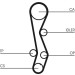 ContiTech | Zahnriemen | CT1030 ContiTech | Zahnriemen | CT1030