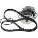 BOSCH | Wasserpumpe + Zahnriemensatz | 1 987 948 801 BOSCH | Wasserpumpe + Zahnriemensatz | 1 987 948 801