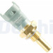 Delphi | Sensor, Kühlmitteltemperatur | TS10253 Delphi | Sensor, Kühlmitteltemperatur | TS10253