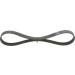 1 987 946 126 Keilrippenriemen Elastic