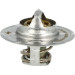 NRF | Thermostat, Kühlmittel | 725016