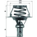 Mahle | Thermostat, Kühlmittel | TX 66 91D Mahle | Thermostat, Kühlmittel | TX 66 91D