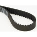 CT1168 Zahnriemen