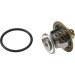 Wahler | Thermostat, Kühlmittel | 4255.87D