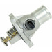 Metzger | Thermostat, Kühlmittel | 4006056