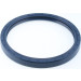 12000556B Wellendichtring, Radnabe