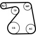 ContiTech | Keilrippenriemensatz | 6PK1360K1 ContiTech | Keilrippenriemensatz | 6PK1360K1
