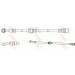 TRW | Bremsschlauch | PHD992 TRW | Bremsschlauch | PHD992