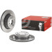 Brembo Bremsscheibe PRIME LINE - UV Coated 09.9793.21