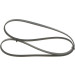 1 987 946 234 Keilrippenriemen