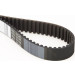 CT619 Zahnriemen CT619 Zahnriemen