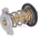 FEBI BILSTEIN 185598 Thermostat, Kühlmittel