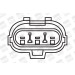 BorgWarner (BERU) | Zündspule | ZS267