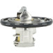 725411 Thermostat, Kühlmittel EASY FIT