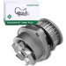 INA 530 0089 31 Wasserpumpe + Zahnriemensatz