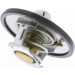 Vemo | Thermostat, Kühlmittel | V25-99-1722