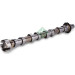 INA | Nockenwelle | 428 0190 10 INA | Nockenwelle | 428 0190 10