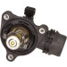 Maxgear | Thermostat, Kühlmittel | 18-0420