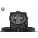 Vemo | AGR-Ventil | V24-63-0003