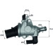 Mahle | Thermostat, Kühlmittel | TI 174 88 Mahle | Thermostat, Kühlmittel | TI 174 88