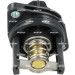 NRF | Thermostat, Kühlmittel | 725353 NRF | Thermostat, Kühlmittel | 725353