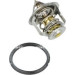 725268 Thermostat, Kühlmittel
