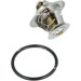 NRF | Thermostat, Kühlmittel | 725161