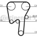 ContiTech | Zahnriemen | CT981 ContiTech | Zahnriemen | CT981