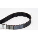 ContiTech | Zahnriemen | CT877 ContiTech | Zahnriemen | CT877