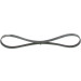 1 987 946 122 Keilrippenriemen Elastic