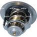 NRF | Thermostat, Kühlmittel | 725167