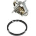 NRF | Thermostat, Kühlmittel | 725125