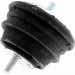 Vaico | Lagerung, Motor | V20-1037-1